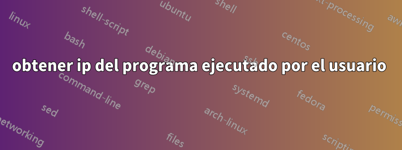 obtener ip del programa ejecutado por el usuario