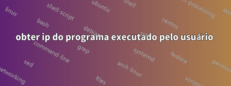 obter ip do programa executado pelo usuário