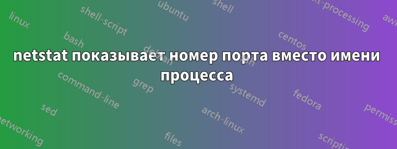 netstat показывает номер порта вместо имени процесса