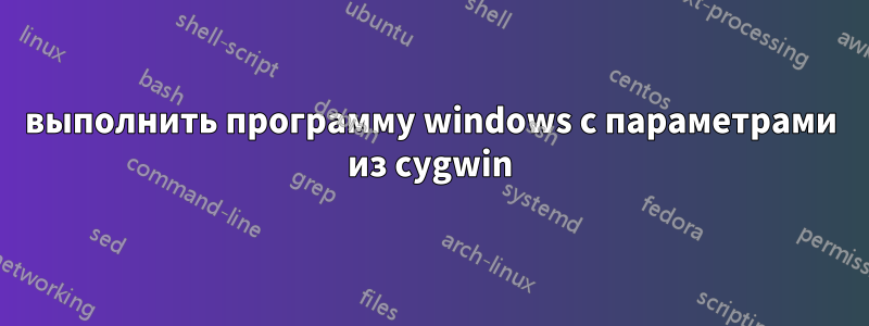 выполнить программу windows с параметрами из cygwin