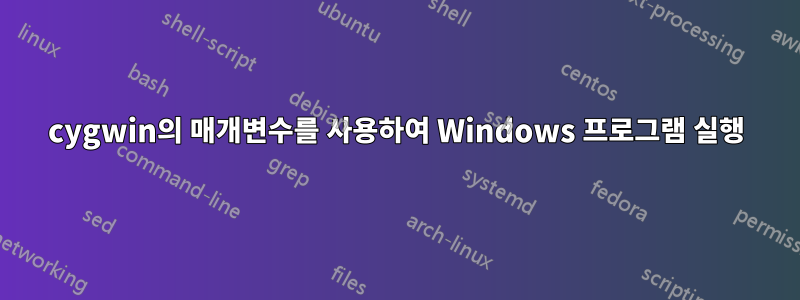 cygwin의 매개변수를 사용하여 Windows 프로그램 실행