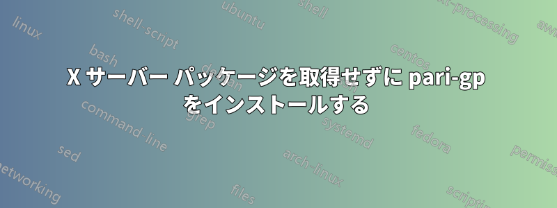 X サーバー パッケージを取得せずに pari-gp をインストールする