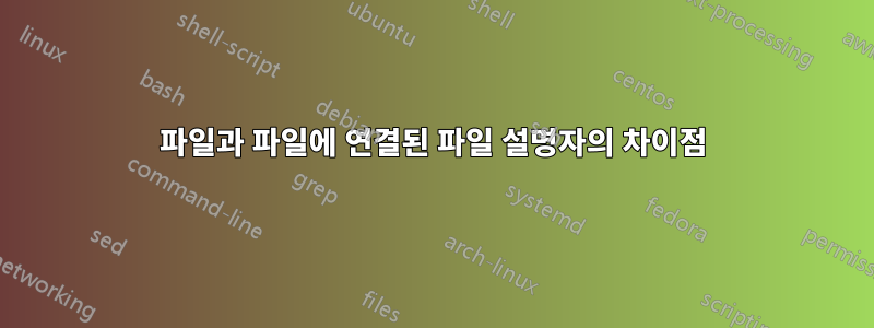 파일과 파일에 연결된 파일 설명자의 차이점