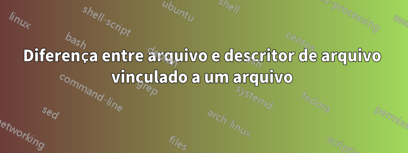 Diferença entre arquivo e descritor de arquivo vinculado a um arquivo