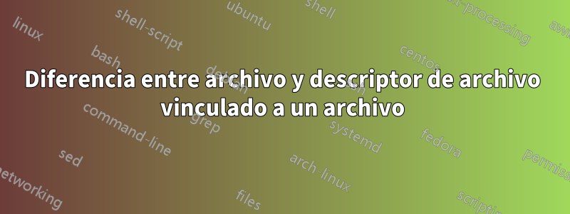 Diferencia entre archivo y descriptor de archivo vinculado a un archivo