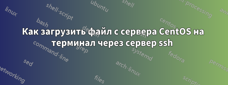 Как загрузить файл с сервера CentOS на терминал через сервер ssh 