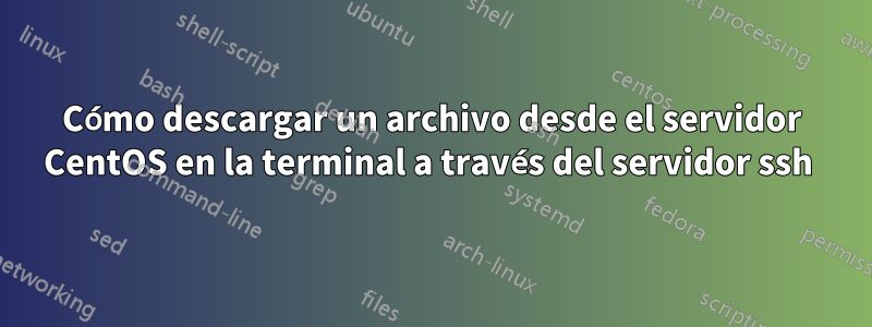 Cómo descargar un archivo desde el servidor CentOS en la terminal a través del servidor ssh 