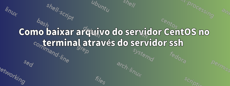 Como baixar arquivo do servidor CentOS no terminal através do servidor ssh 