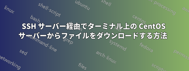 SSH サーバー経由でターミナル上の CentOS サーバーからファイルをダウンロードする方法 