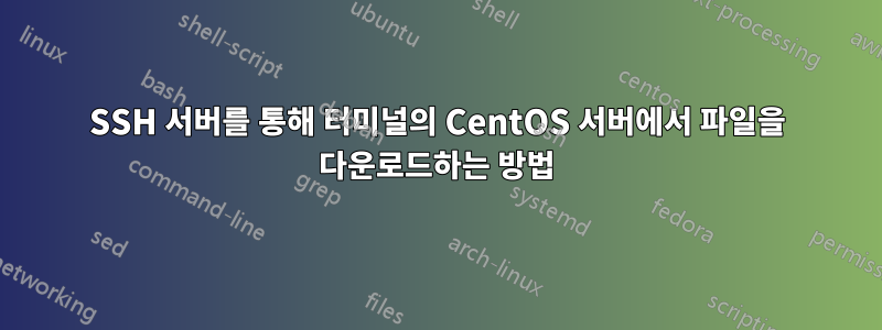 SSH 서버를 통해 터미널의 CentOS 서버에서 파일을 다운로드하는 방법