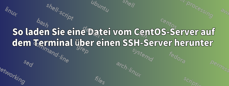 So laden Sie eine Datei vom CentOS-Server auf dem Terminal über einen SSH-Server herunter 