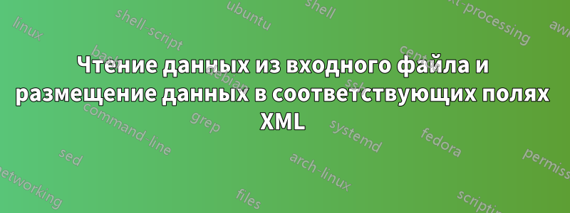 Чтение данных из входного файла и размещение данных в соответствующих полях XML