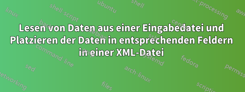 Lesen von Daten aus einer Eingabedatei und Platzieren der Daten in entsprechenden Feldern in einer XML-Datei