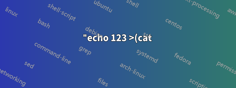 "echo 123 >(cat)" 출력에 "/dev/fd/63"이 있는 이유는 무엇입니까?
