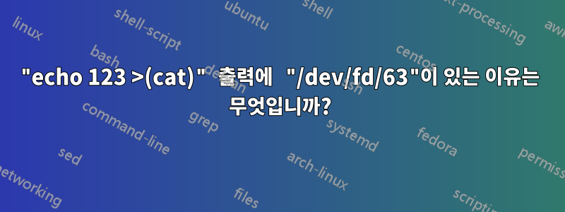 "echo 123 >(cat)" 출력에 "/dev/fd/63"이 있는 이유는 무엇입니까?