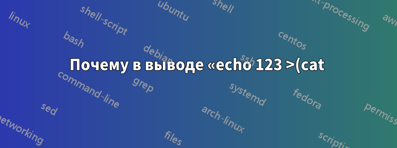 Почему в выводе «echo 123 >(cat)» присутствует «/dev/fd/63»?