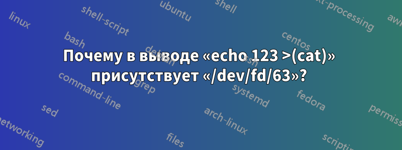 Почему в выводе «echo 123 >(cat)» присутствует «/dev/fd/63»?