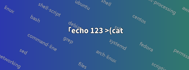 「echo 123 >(cat)」の出力に「/dev/fd/63」が表示されるのはなぜですか?