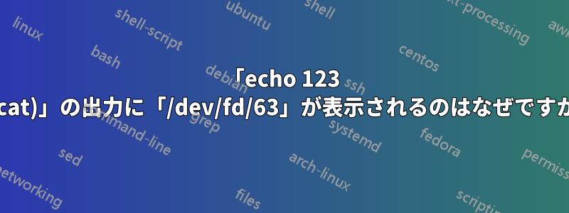 「echo 123 >(cat)」の出力に「/dev/fd/63」が表示されるのはなぜですか?