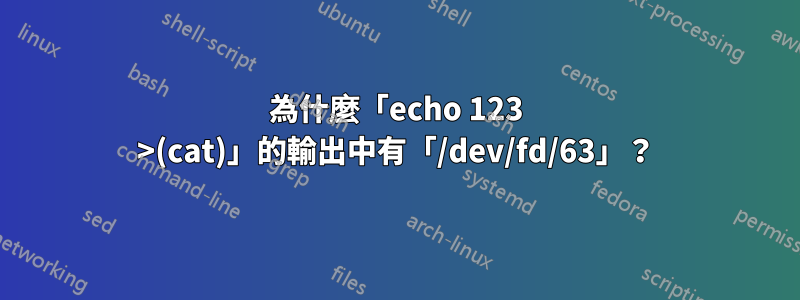 為什麼「echo 123 >(cat)」的輸出中有「/dev/fd/63」？