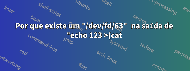 Por que existe um "/dev/fd/63" na saída de "echo 123 >(cat)"?