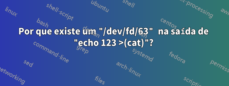 Por que existe um "/dev/fd/63" na saída de "echo 123 >(cat)"?