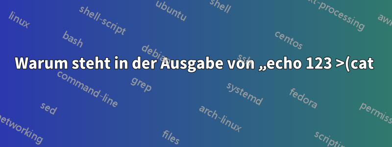 Warum steht in der Ausgabe von „echo 123 >(cat)“ ein „/dev/fd/63“?
