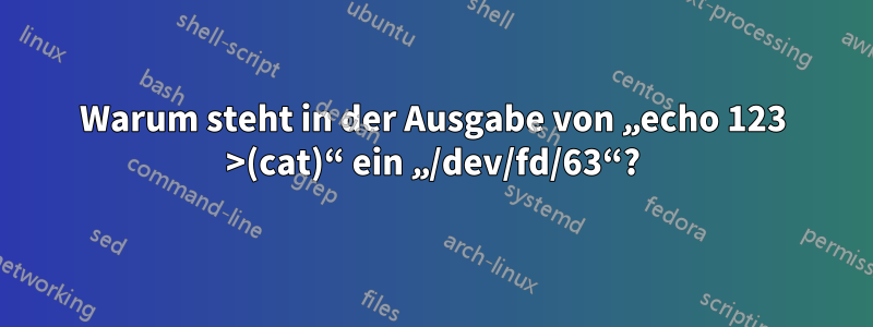 Warum steht in der Ausgabe von „echo 123 >(cat)“ ein „/dev/fd/63“?