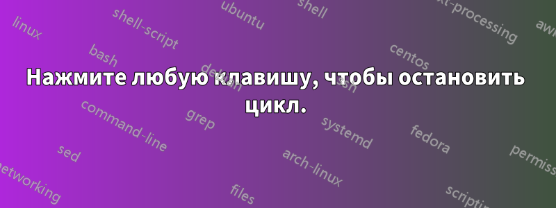 Нажмите любую клавишу, чтобы остановить цикл.