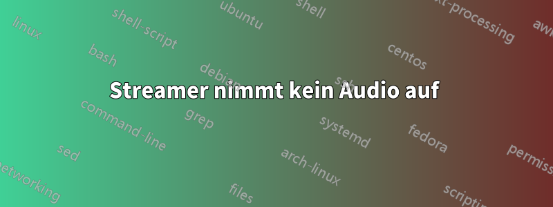 Streamer nimmt kein Audio auf