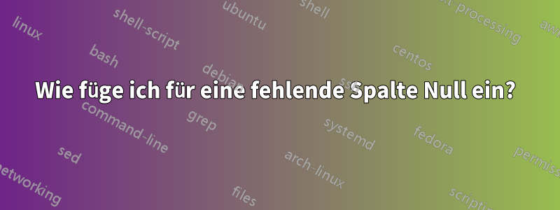 Wie füge ich für eine fehlende Spalte Null ein? 