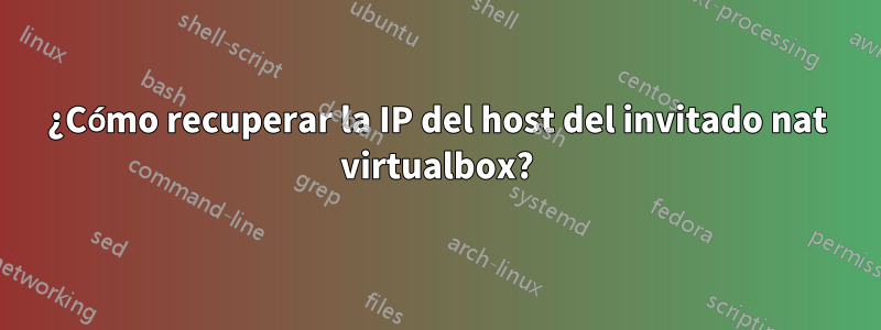 ¿Cómo recuperar la IP del host del invitado nat virtualbox?