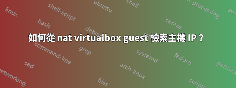 如何從 nat virtualbox guest 檢索主機 IP？