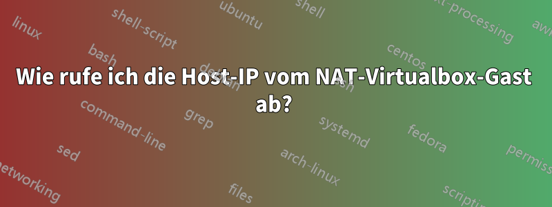 Wie rufe ich die Host-IP vom NAT-Virtualbox-Gast ab?