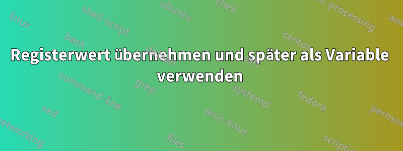 Registerwert übernehmen und später als Variable verwenden