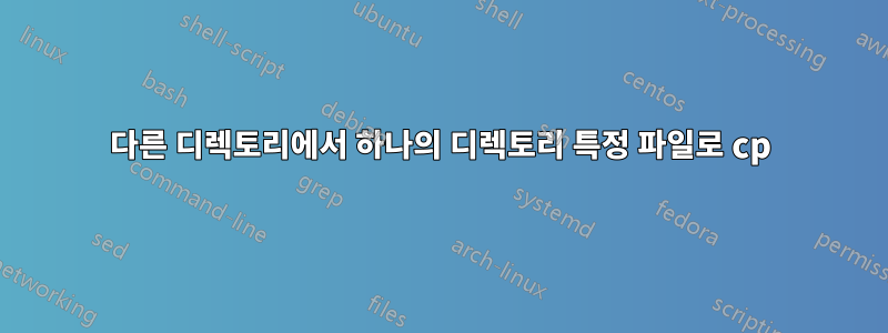 다른 디렉토리에서 하나의 디렉토리 특정 파일로 cp