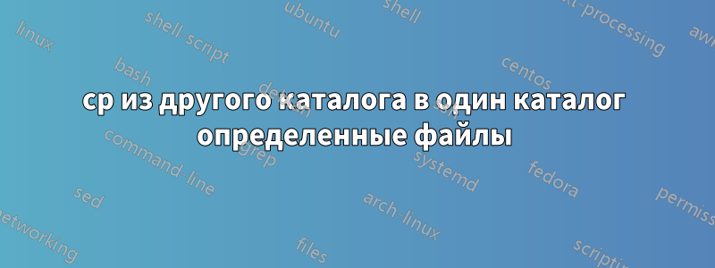 cp из другого каталога в один каталог определенные файлы