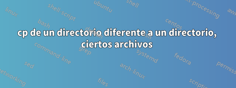 cp de un directorio diferente a un directorio, ciertos archivos