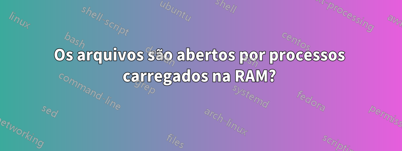 Os arquivos são abertos por processos carregados na RAM?