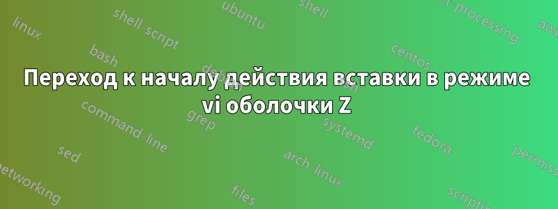 Переход к началу действия вставки в режиме vi оболочки Z