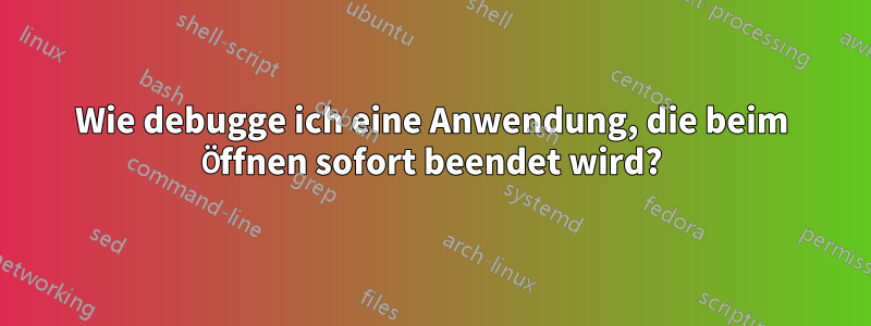 Wie debugge ich eine Anwendung, die beim Öffnen sofort beendet wird?