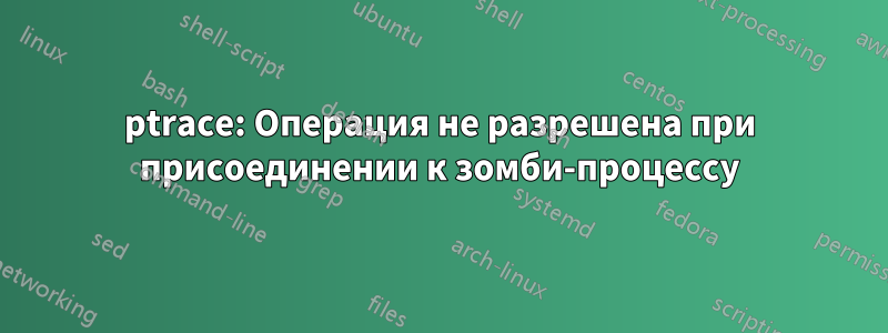 ptrace: Операция не разрешена при присоединении к зомби-процессу