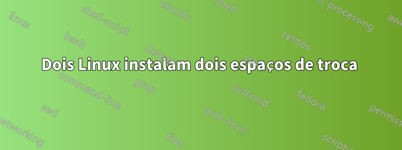 Dois Linux instalam dois espaços de troca