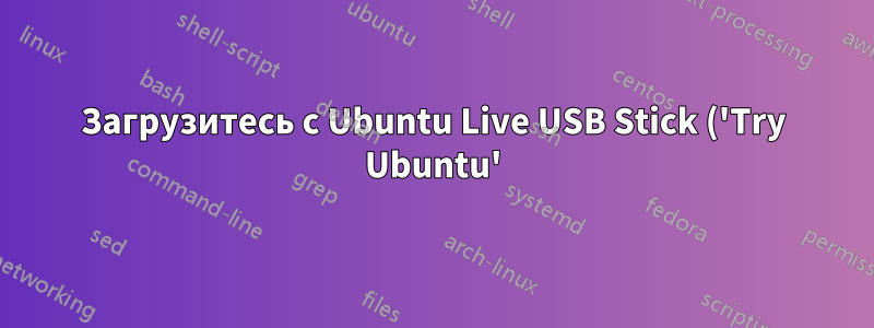 Загрузитесь с Ubuntu Live USB Stick ('Try Ubuntu'). Как увидеть содержимое USB-диска?