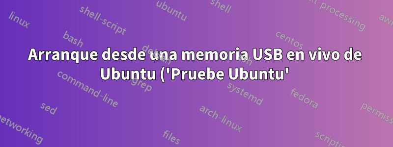 Arranque desde una memoria USB en vivo de Ubuntu ('Pruebe Ubuntu'). ¿Cómo ver el contenido del disco USB?