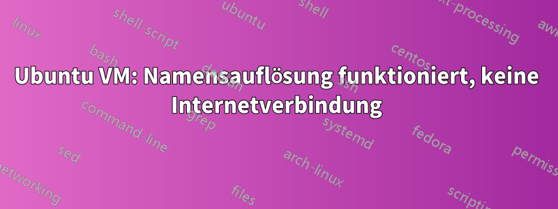 Ubuntu VM: Namensauflösung funktioniert, keine Internetverbindung