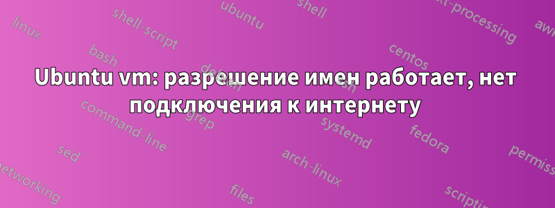 Ubuntu vm: разрешение имен работает, нет подключения к интернету