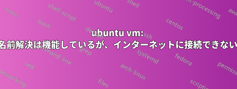 ubuntu vm: 名前解決は機能しているが、インターネットに接続できない