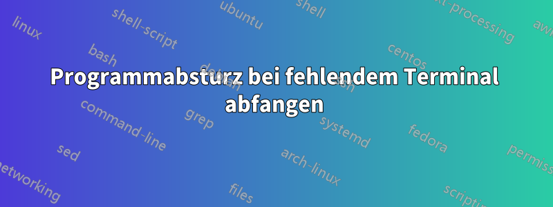 Programmabsturz bei fehlendem Terminal abfangen