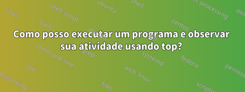 Como posso executar um programa e observar sua atividade usando top?